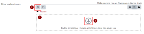 SeleccioFitxerMoodle.png