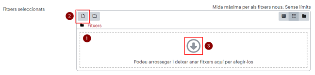 SeleccioFitxerMoodle.png